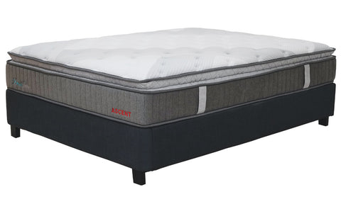 Ascent Bed